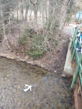 21 marca - Witamy wiosnę 21 marca - Witamy wiosnę